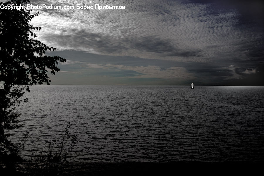 Outdoors, Ripple, Water, Sea, Ocean, Beach, Coast