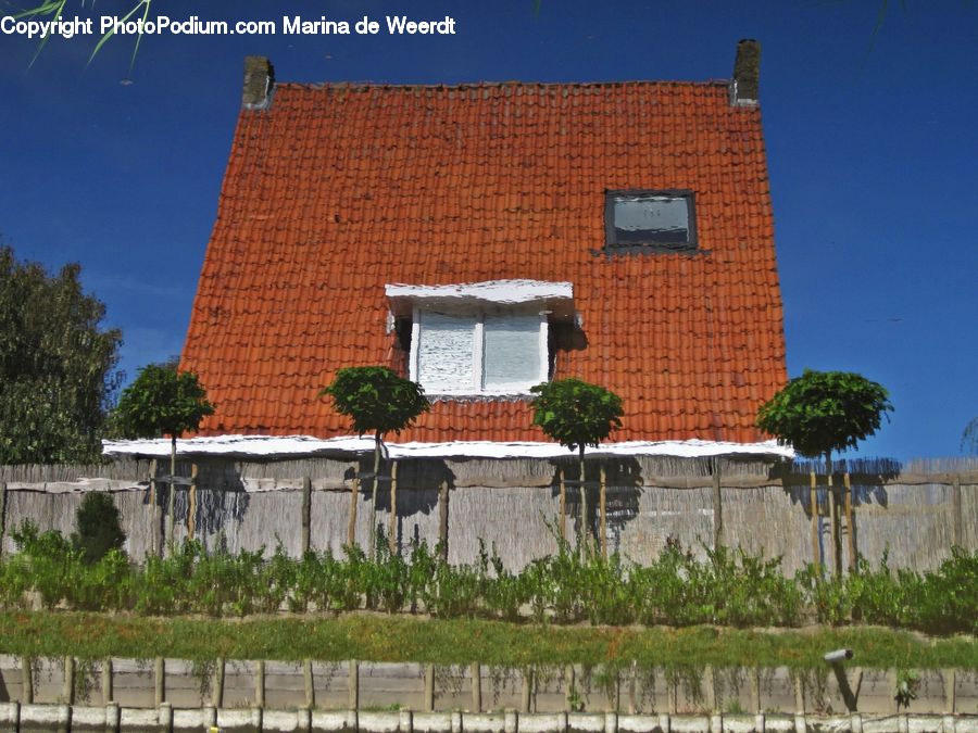 Building, Cottage, Housing, Brick, Office Building, Plant, Tree