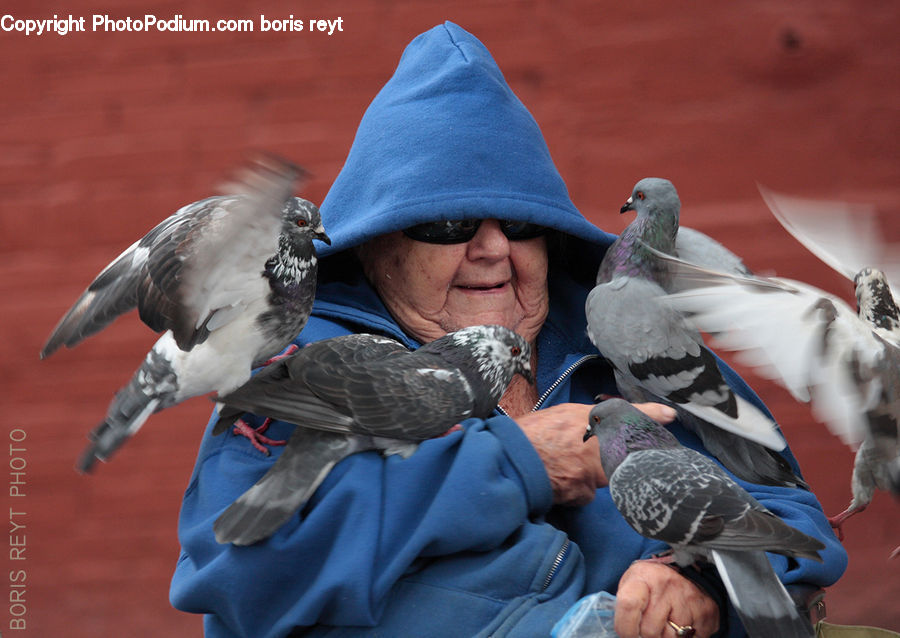 People, Person, Human, Bird, Dove, Pigeon, Parakeet