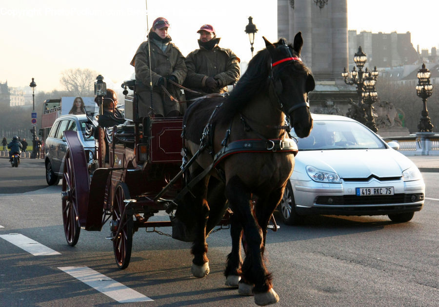 People, Person, Human, Carriage, Horse Cart, Vehicle, Automobile