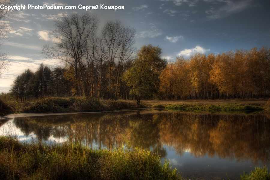 Outdoors, Pond, Water, Field, Grass, Grassland, Plant