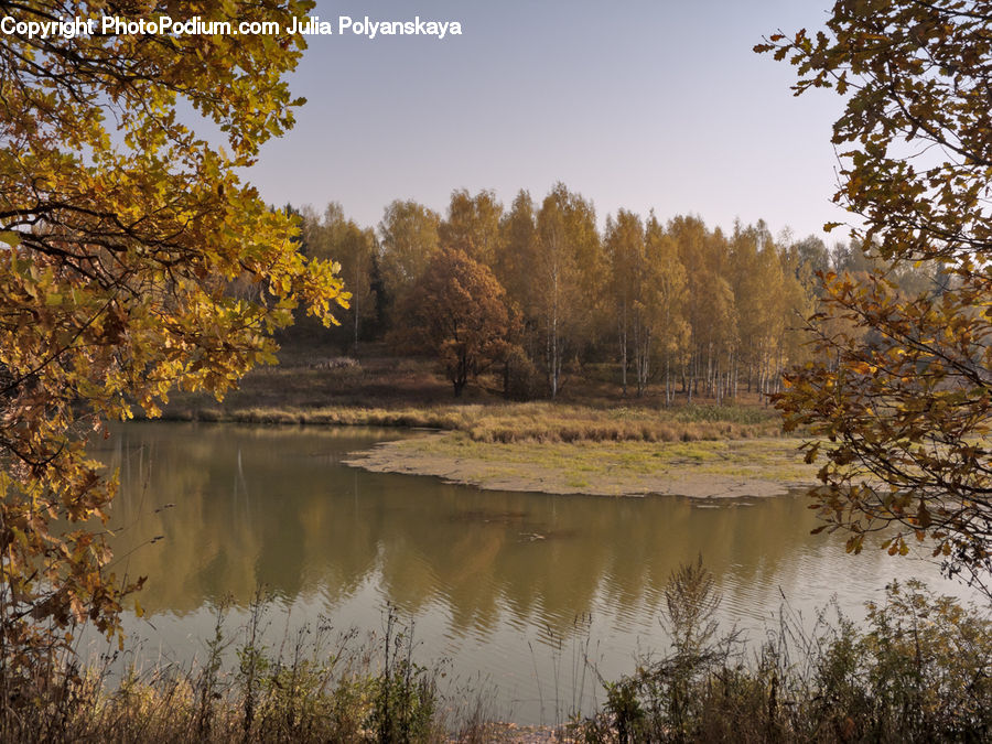 Outdoors, Pond, Water, Field, Grass, Grassland, Plant