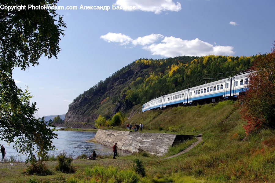 Train, Vehicle, Monorail, Railway, Landscape, Nature, Scenery