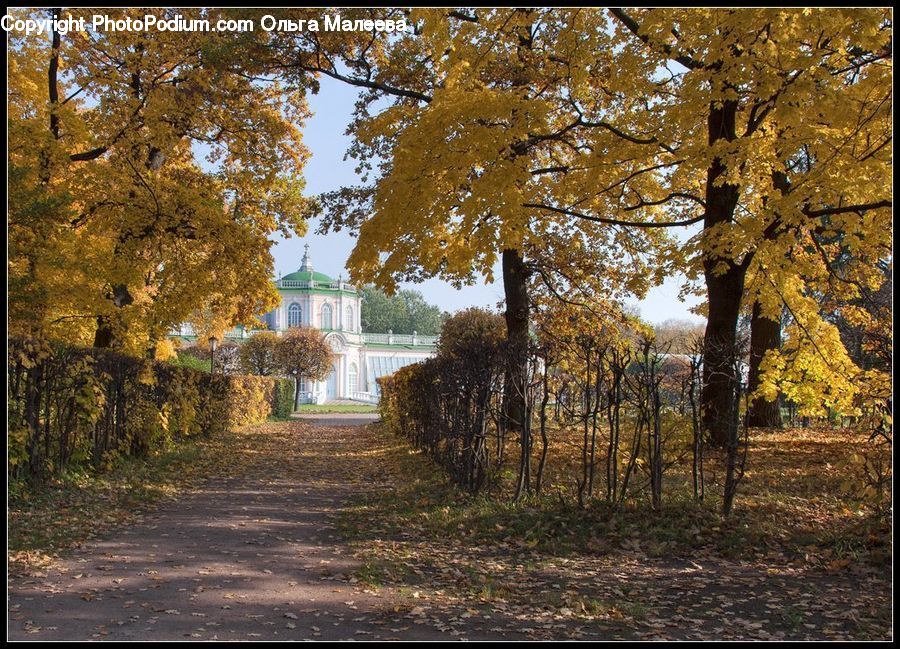 Dirt Road, Gravel, Road, Path, Walkway, Landscape, Nature