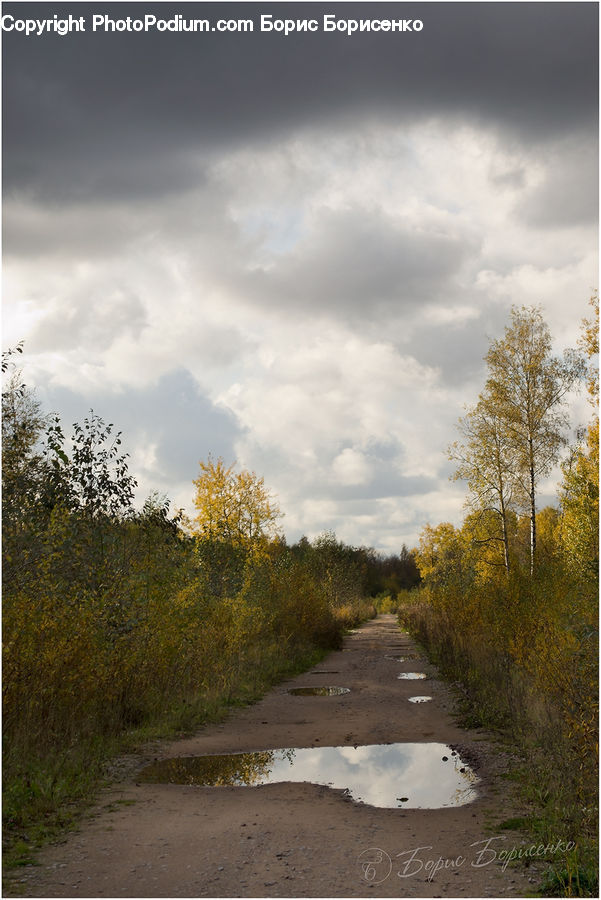 Dirt Road, Gravel, Road