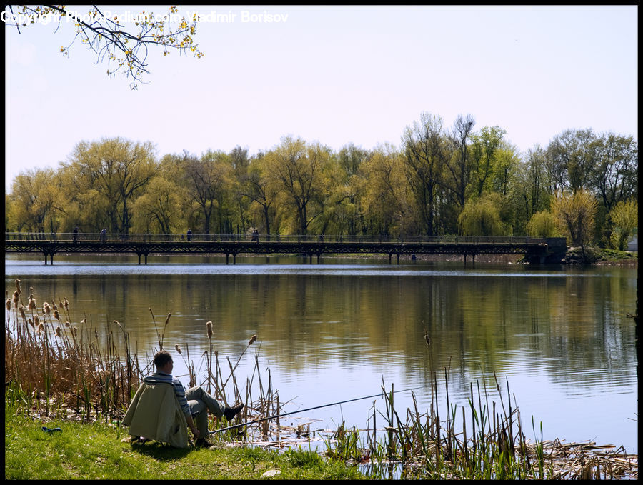 Outdoors, Pond, Water, Field, Grass, Grassland, Plant