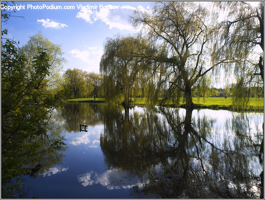 Outdoors, Pond, Water, Landscape, Nature, Scenery, Land