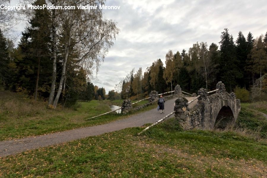 Dirt Road, Gravel, Road, Bridge, Grassland, Mound, Ruins