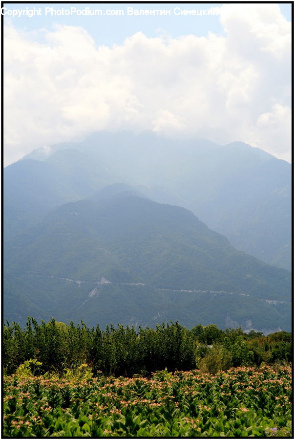 Cloud, Cumulus, Sky, Landscape, Nature, Scenery, Mountain