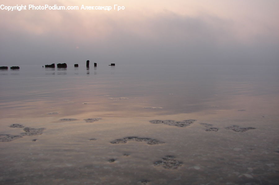Beach, Coast, Outdoors, Sea, Water