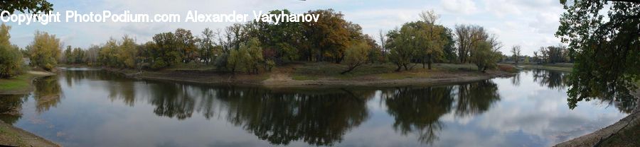 Outdoors, Pond, Water, Lake, Plant, Tree, Forest