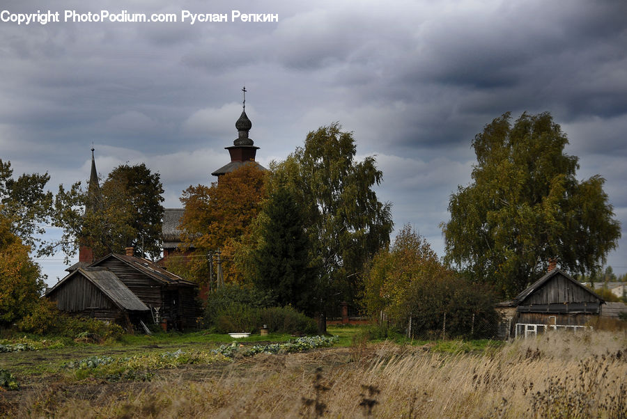 Plant, Potted Plant, Building, Cottage, Housing, Barn, Countryside