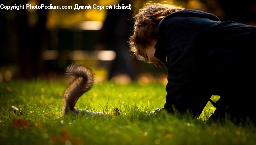 Animal, Mammal, Rodent, Squirrel, Cobra, Reptile, Snake