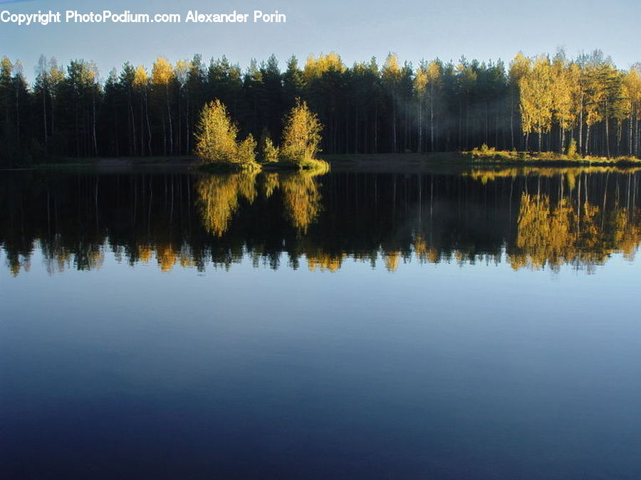 Lake, Outdoors, Water, Conifer, Fir, Plant, Tree