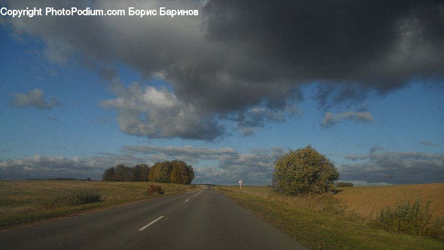 Dirt Road, Gravel, Road, Plant, Tree, Freeway, Highway