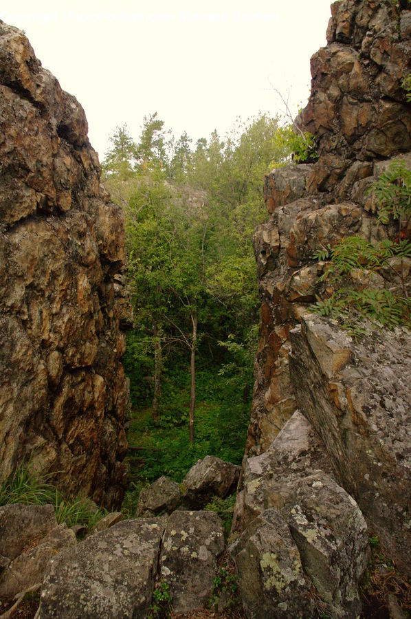 Cliff, Outdoors, Rock, Soil, Ruins, Forest, Jungle