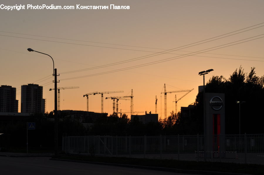 Plant, Potted Plant, Dawn, Dusk, Red Sky, Sky, Sunrise