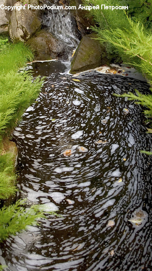 Creek, Outdoors, River, Water, Ripple, Pond, Rock