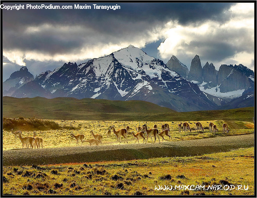 Alps, Crest, Mountain, Peak, Mountain Range, Outdoors, Field