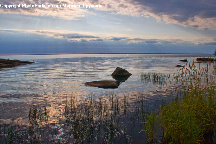 Land, Marsh, Outdoors, Swamp, Water, Beach, Coast