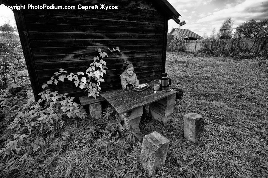 Bench, Ivy, Plant, Vine, Tomb, Child, Kid