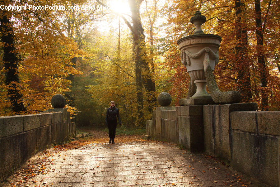 Brick, Art, Sculpture, Statue, Cobblestone, Pavement, Walkway