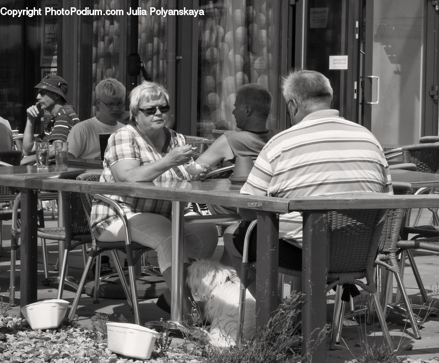 People, Person, Human, Chair, Furniture, Cafe, Cafeteria