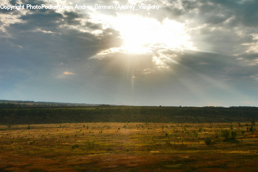 Field, Grass, Grassland, Land, Outdoors, Flare, Light