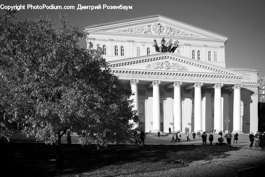 Plant, Potted Plant, Architecture, Court, Building, Housing, Villa