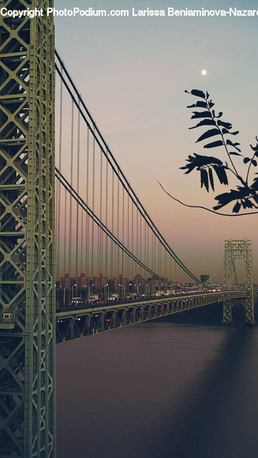 Dawn, Dusk, Sky, Sunrise, Sunset, City, Downtown