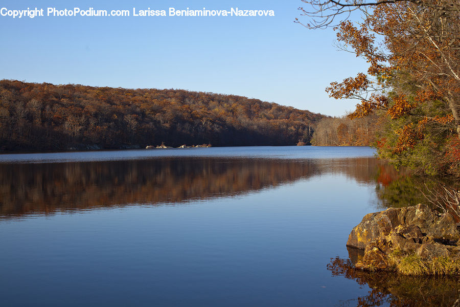 Lake, Outdoors, Water, Pond, Land, Marsh, Swamp