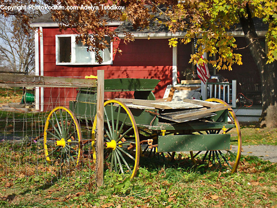 Plant, Potted Plant, Carriage, Horse Cart, Vehicle, Car, Wagon