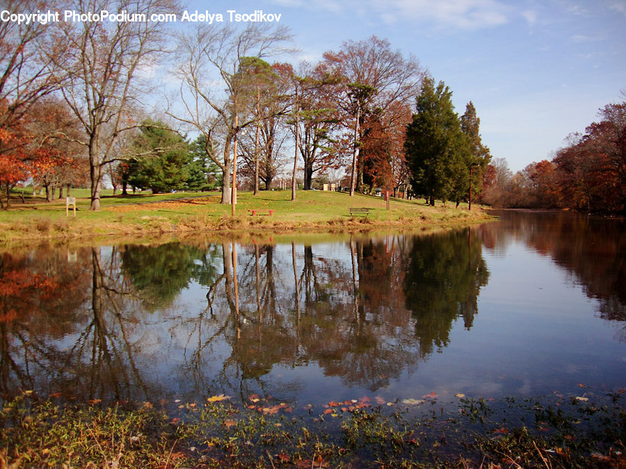 Outdoors, Pond, Water, Field, Grass, Grassland, Plant