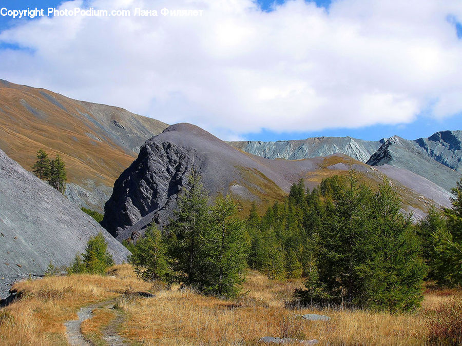 Crest, Mountain, Outdoors, Peak, Forest, Grove, Land