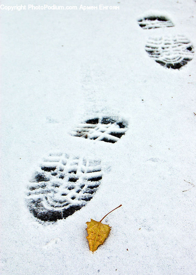 Footprint, Leaf, Plant, Snow, Snow Angel, Winter, Ice
