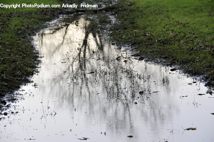 Puddle