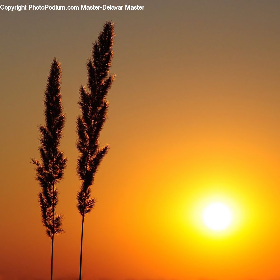 Dawn, Dusk, Sky, Sunrise, Sunset, Outdoors, Sun