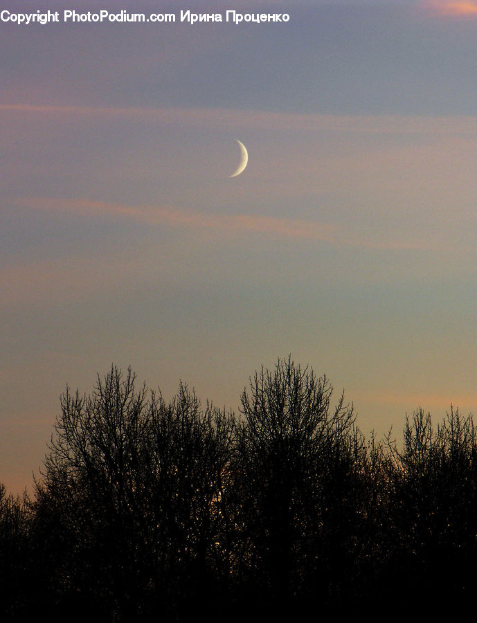 Eclipse, Flare, Lunar Eclipse, Night, Dawn, Dusk, Sky