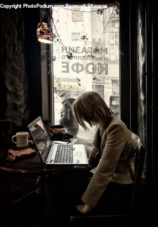 People, Person, Human, Computer, Electronics, LCD Screen, Laptop