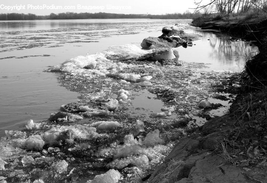 Land, Marsh, Outdoors, Swamp, Water, Coast, Cove