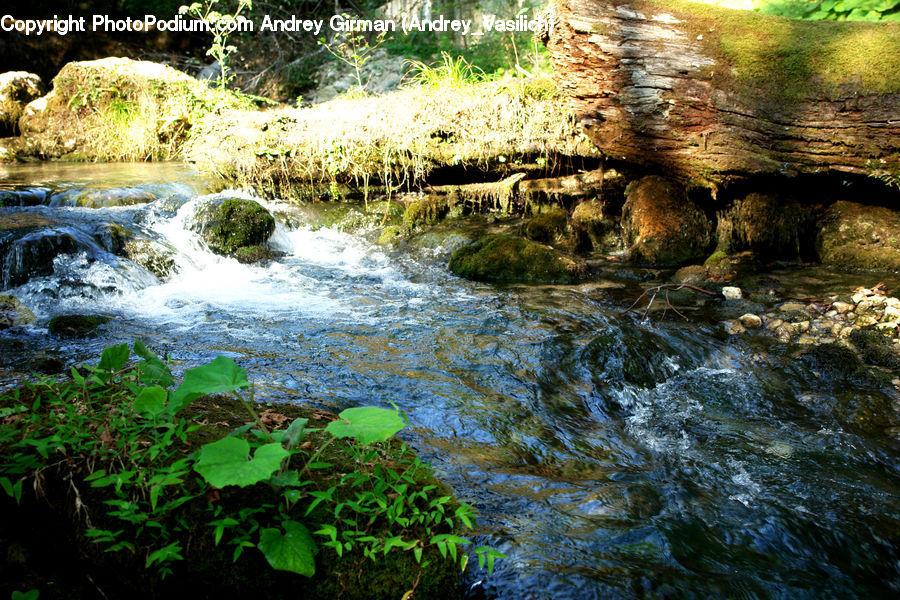 Creek, Outdoors, River, Water, Waterfall, Stream, Plant