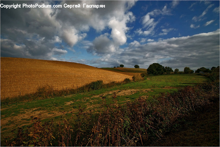 Field, Grass, Grassland, Land, Outdoors, Dirt Road, Gravel