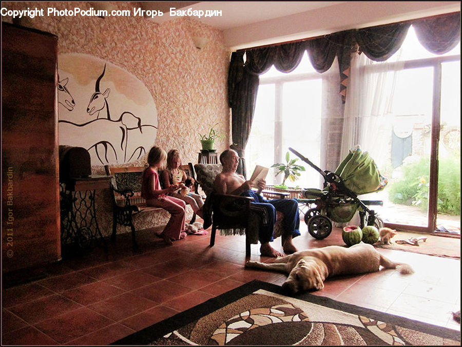 Plant, Potted Plant, Carpet, Home Decor, Couch, Furniture, Cafe