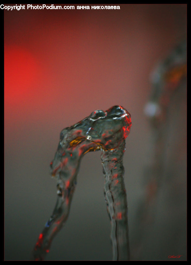 Ice, Icicle, Snow, Winter