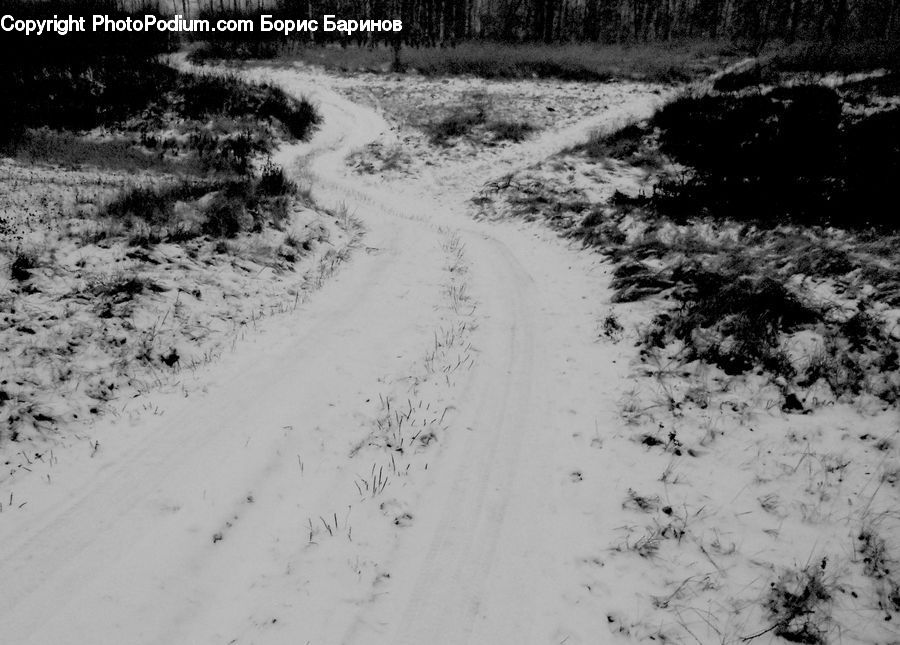 Forest, Vegetation, Path, Trail, Ice, Outdoors, Snow