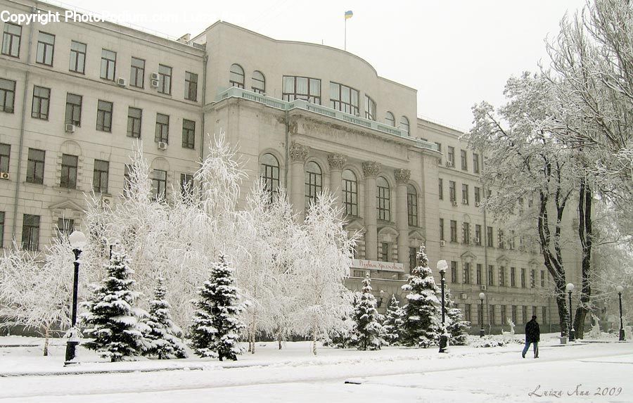 Ice, Outdoors, Snow, Campus, Architecture, Court, Building