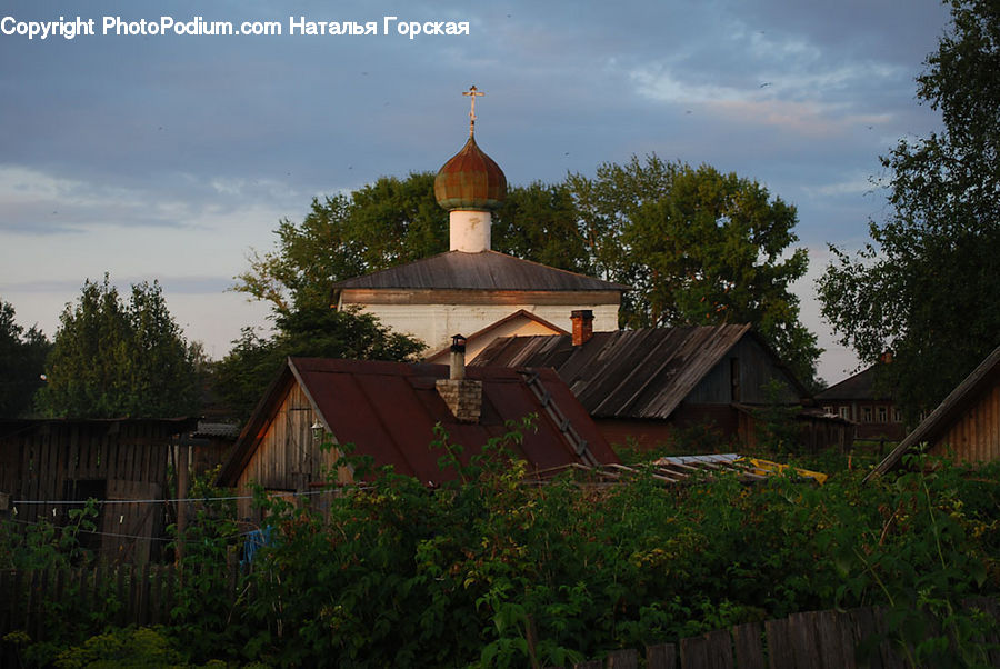 Plant, Potted Plant, Roof, Tile Roof, Architecture, Bell Tower, Clock Tower