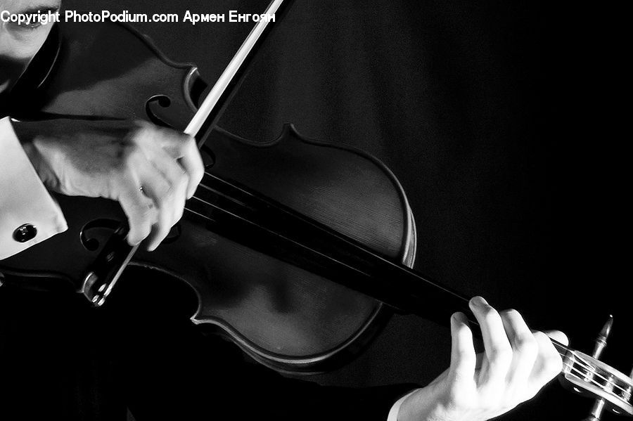 Fiddle, Musical Instrument, Viola, Violin, Guitar, Cello, Person