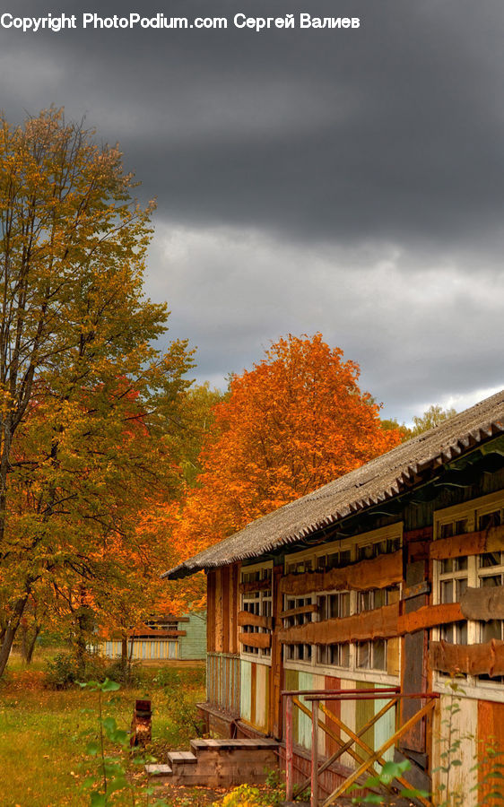 Cabin, Hut, Rural, Shack, Shelter, Building, Cottage