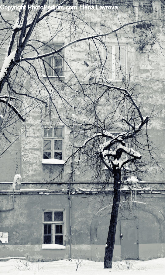Wire, Blizzard, Outdoors, Snow, Weather, Winter, Ice